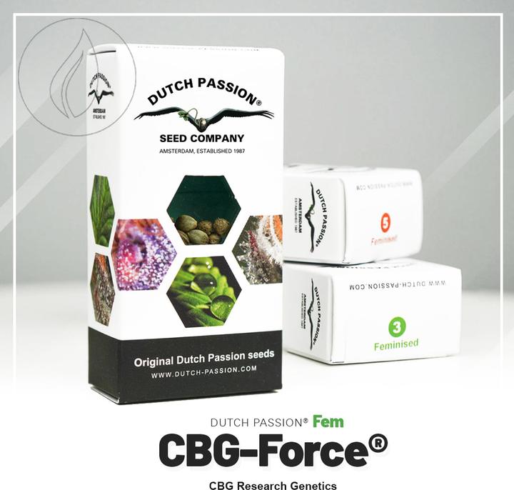 Image du produit Dutch Passion Graines de CBG Force 3 (Graines de plantes)