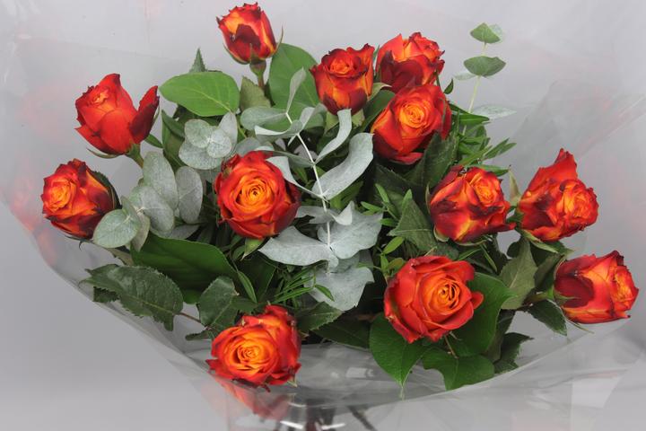 Immagine prodotto Bouquet di rose bicolore con Eucalipto