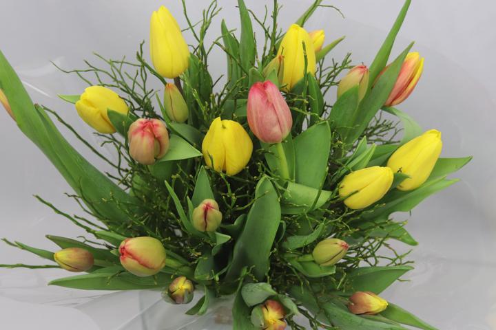 Immagine prodotto Bouquet Tulipani con erbe di mirtillo