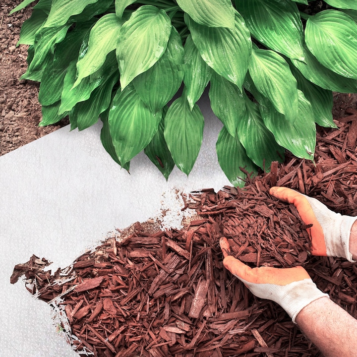 Produktbild Casa Pura Unkrautvlies 150 g/m²