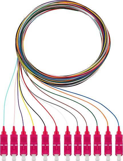 Produktbild Rutenbeck Pigtails 12xSC OM4 2m (S/UTP, CAT6e, 2 m)