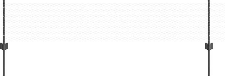 Produktbild vidaXL Grau Gartenzaun