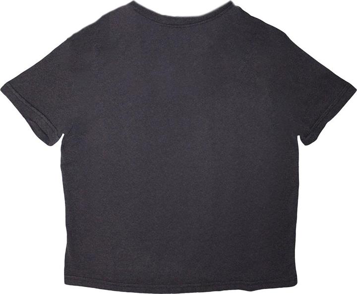 Actual product image Bruce Springsteen Womens/Ladies Pose Crop Top (M)