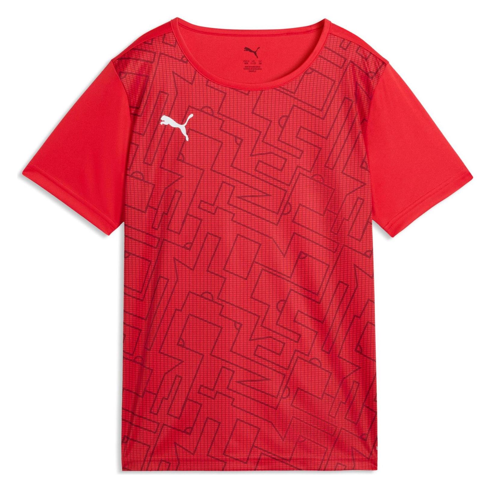 Puma, Jongens, Sportief Shirt, IndividualRISE Graphic Jersey Jr (164), Veelkleurig, 164