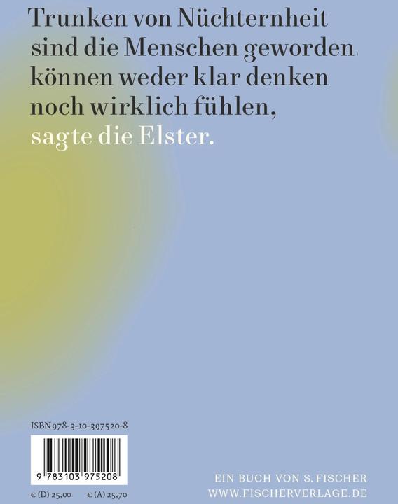 Produktbild Such nach dem Namen des Windes (Deutsch, Olga Martynova, 2024)