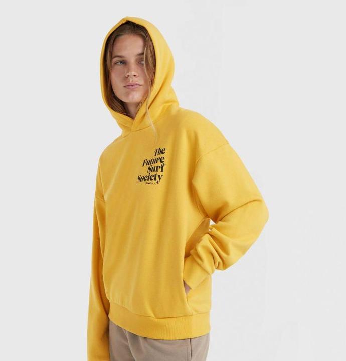 Produktbild O'Neill Future Surf Society Hoodie (S)
