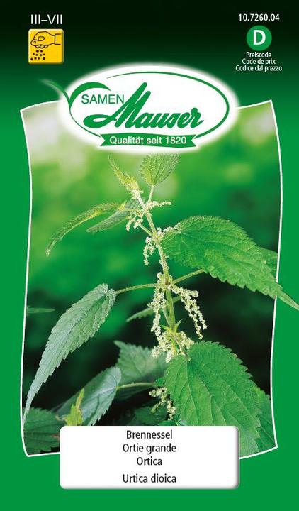 Produktbild Samen Mauser Brennessel (Gemüsesamen)
