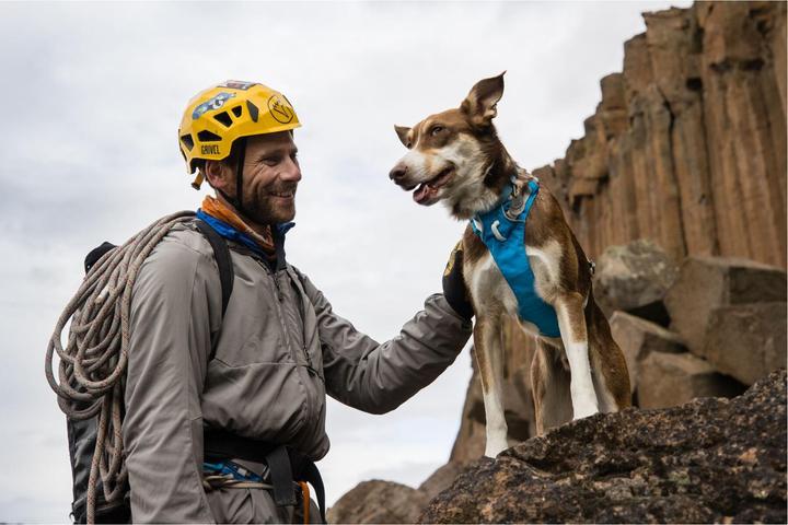 Actual product image Ruffwear Flagline dog harness (L, XL, Dog, General)