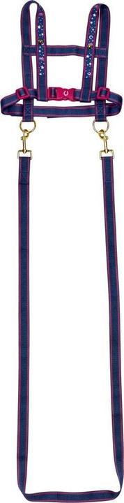 Produktbild Pferdeleine Pferdefreunde