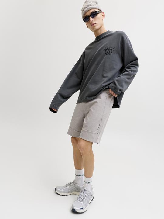 Image du produit Jack & Jones Jpstgordon Base Sweat Shorts Srt Sn (M)