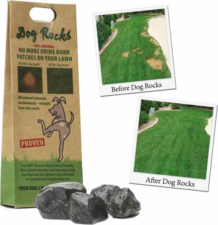 Actual product image Dog Rocks Parker (Dog)