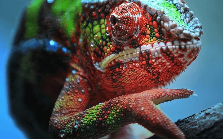 Actual product image Epson EH-TW7100 (4K, 3000 lm, 1.32 - 2.15:1)