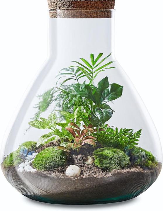 Image du produit Green Bubble La jungle d'Erlenmeyer (32 cm)