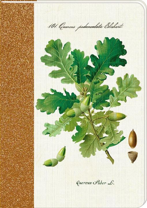 Produktbild Notizhefte - Sammlung Augustina - DIN A5 (A5, Liniert)