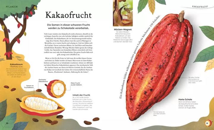 Produktbild Grosse und kleine Schätze der Natur (Deutsch, Ben Hoare, 2022)