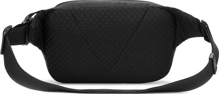 Actual product image Pacsafe Vibe 100