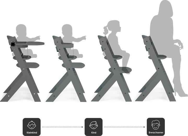 Actual product image BabyGo Family Pro grey (Highchair)