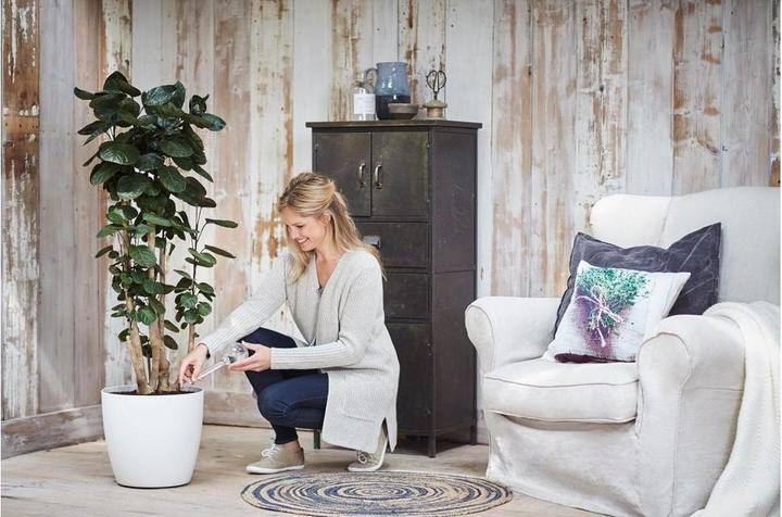 Produktbild Elho Aqua Care Bewässerungskugel transparent (Bewässerungskugeln)