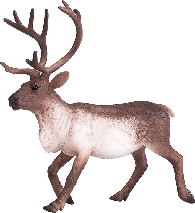 Produktbild Mojo Rentier