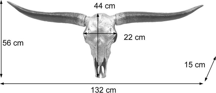 Image du produit Swisshandel24 Crâne de taureau (132 x 15 x 56 cm)
