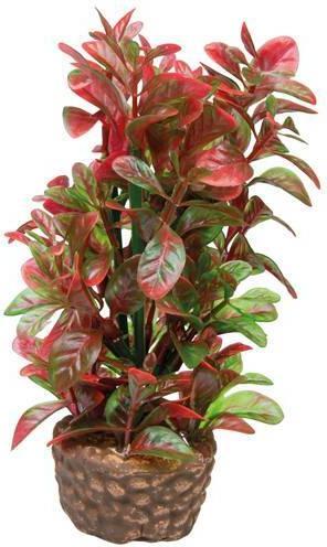 Produktbild Hobby Flora Stone 4 (Dekoration, Pflanzen)