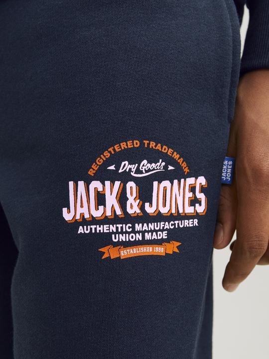 Actual product image Jack & Jones JPSTELOGO SWEATPANTS 2COL 24/25 NOOS JNR (164)