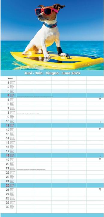 Produktbild Familienplaner Premium Funny 2023 24.5 x 51.5 cm (24.5 x 51.5 cm)