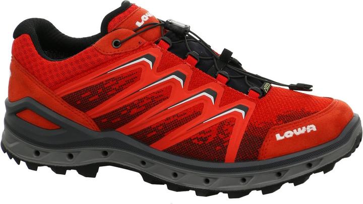 Produktbild Lowa Aerox GTX LO (44)