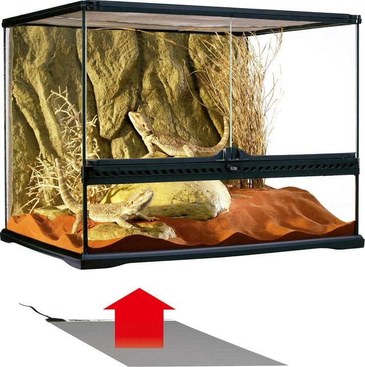 Image du produit Exo Terra Plaque chauffante Desert (16 W)