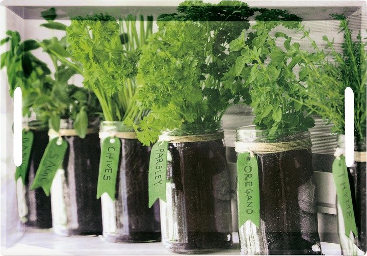 Produktbild Kesper Serviertablett 'Herbs'