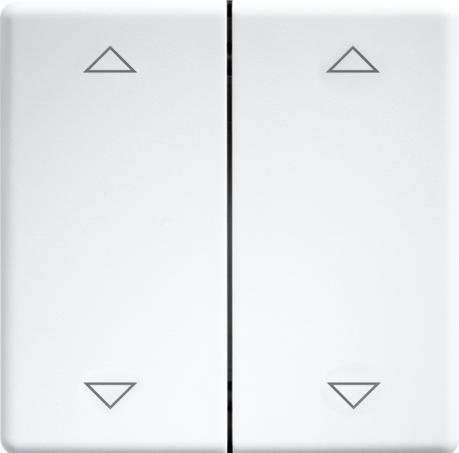 Produktbild Eltako Doppelwippe