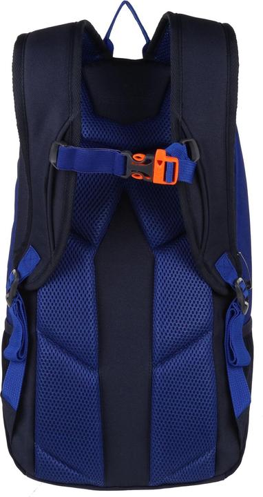 Actual product image Regatta Ridgetrek 20L Backpack (20 l)