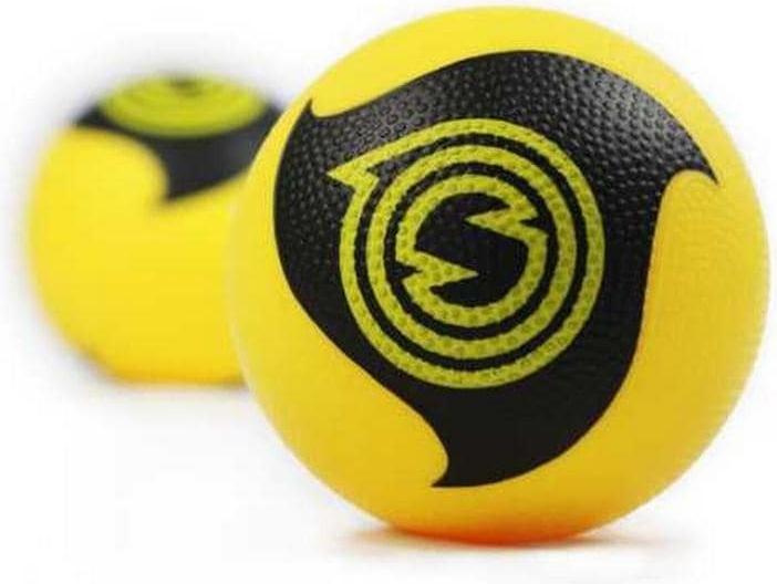 Spikeball Pro