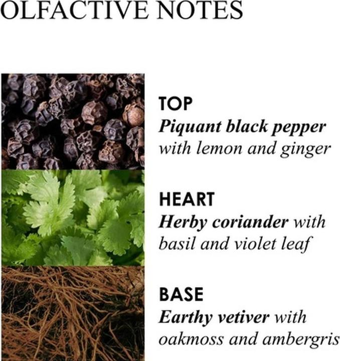 Produktbild Molton Brown Re-charge Black Pepper Body Lotion (Körpermilch, 300 ml)