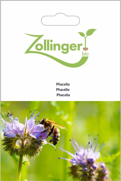 Produktbild Zollinger Bio Phacelia (Pflanzensamen)