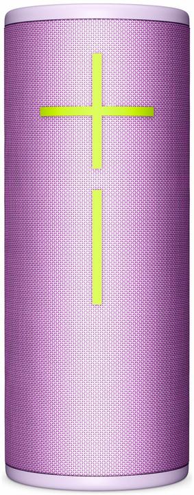 Verzauberndes Flieder