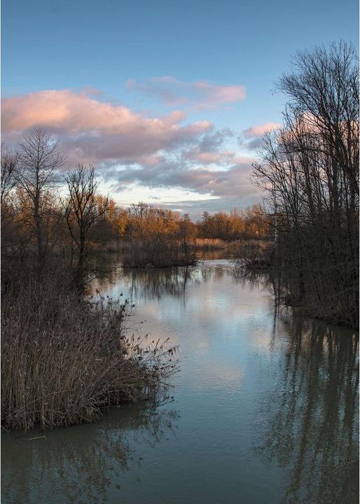 Produktbild Dörr Grauverlaufsfilter Digiline (58 mm, ND- / Grauverlauffilter)