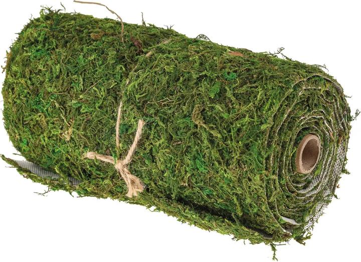 Produktbild Opiflor Moosmatte 200 cm x 20 cm