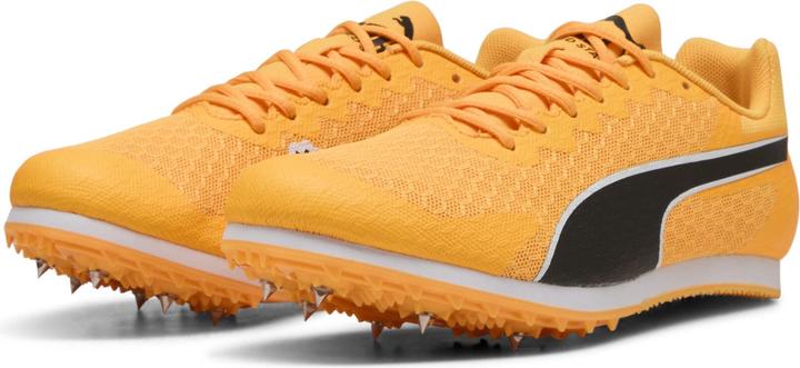 Produktbild Puma evoSPEED Star 9 Junior (36)