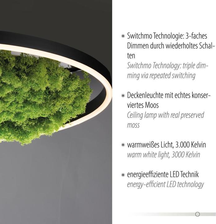 Produktbild Leuchten Direkt Green Ritus (3650 lm)