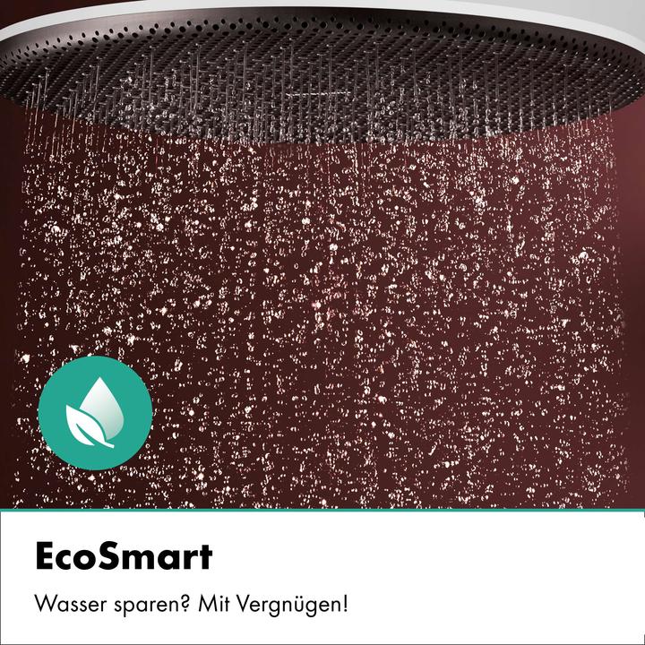 Actual product image hansgrohe Raindance Alive S PURO système de douche 300 1jet EcoSmart avec élément Ecostat, 24593700, 24593700
