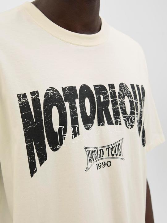 Produktbild Jack & Jones T-shirt T-shirt (L)