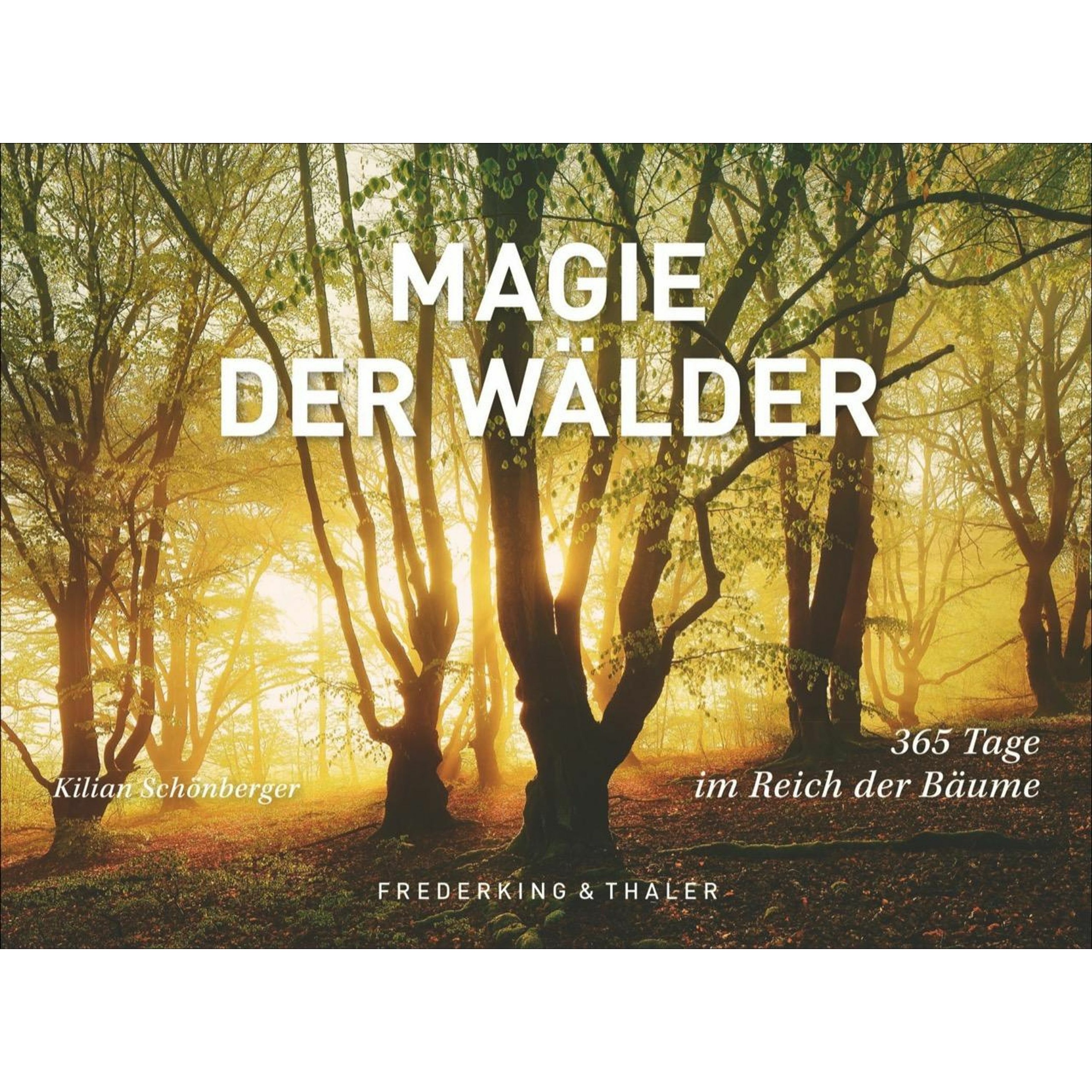 Tischaufsteller Magie der Wälder, Ratgeber von Kilian Schönberger