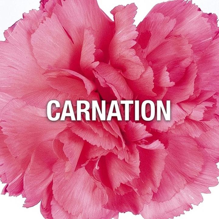 Actual product image Giorgio Beverly Hills Red (Eau de toilette, 90 ml)