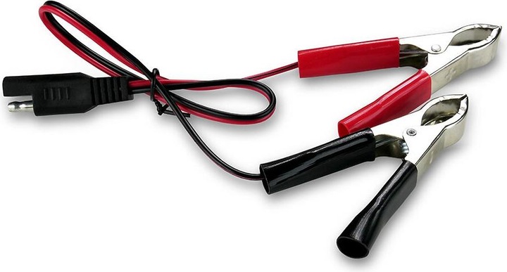 Immagine prodotto Everactive CBC-1 (12V, 6V, 1 A)