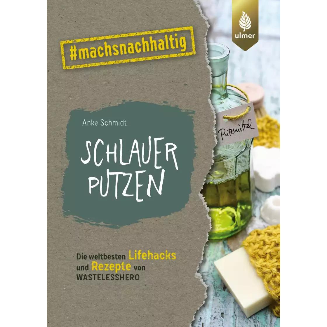 Schlauer putzen, Ratgeber von Anke Schmidt
