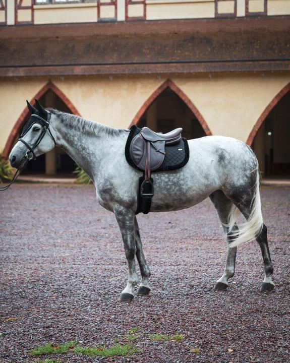 Produktbild GEM Winter