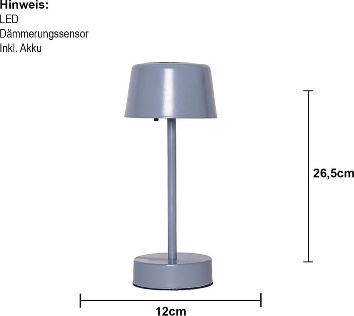 Actual product image Star Trading Solar Leuchte Solei