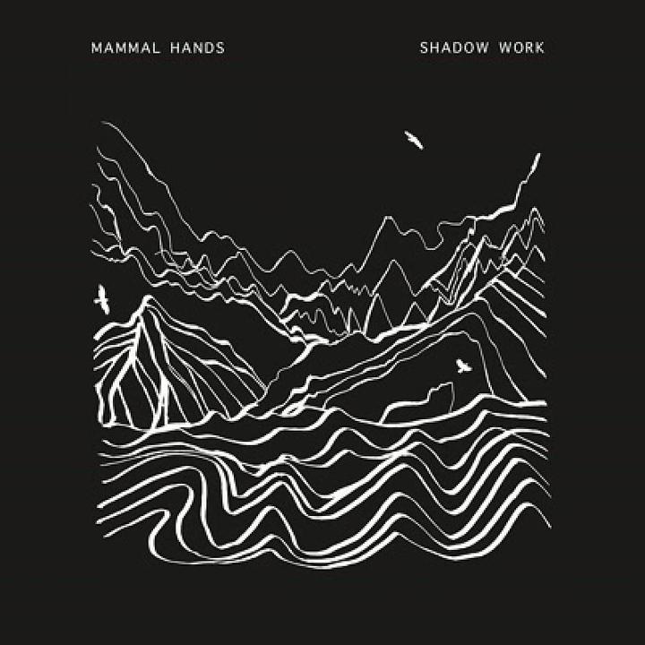 Produktbild Shadow Work (Mammal Hands)