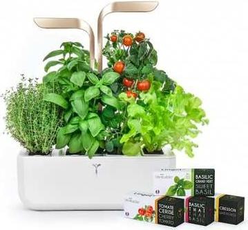 Véritable VERITABLE CONNECT Indoor Garden gold incl. 4 packs (33 cm)